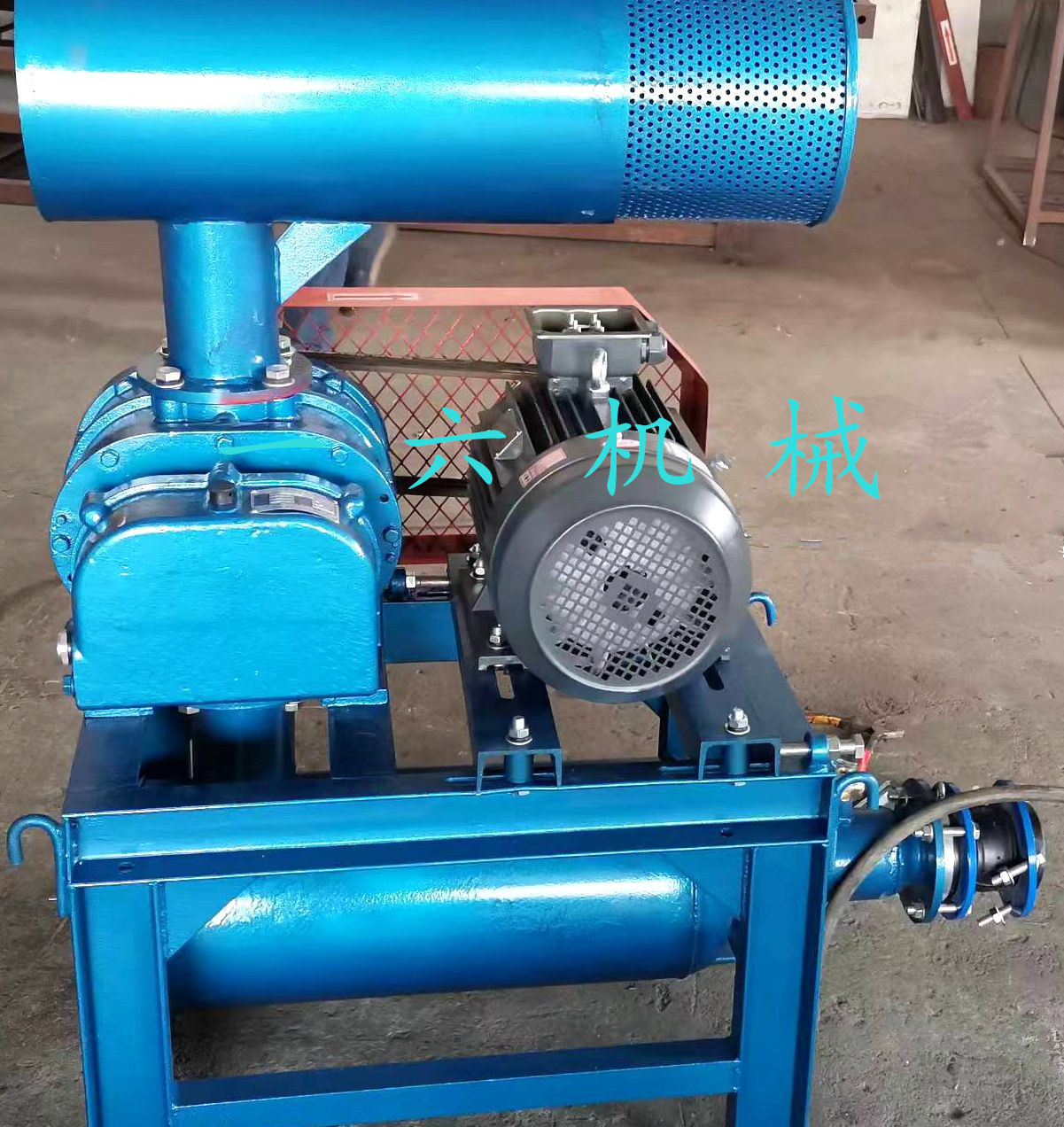 1684461392206152.jpg 1684461392206152.jpg