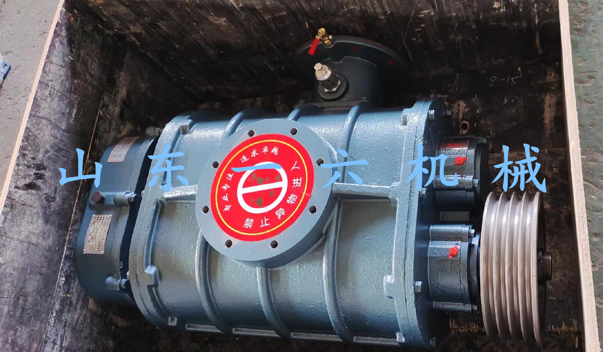 1693189584183772.jpg 1693189584183772.jpg